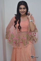 Avantika Mishra At Vaishakham Movie Success meet